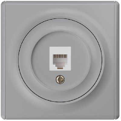 Розетка компьютерная 1-м СП Florence RJ45 кат.5E механизм сер. 1E20701302 OneKeyElectro 2172839