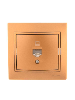 Розетка компьютерная 1-м СП Мира RJ45 метал. зол. Lezard 701-1313-139