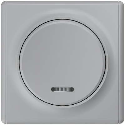 Выключатель 1-кл. СП Florence 10А IP20 с подсветкой механизм сер. 1E31701302 OneKeyElectro 2172847