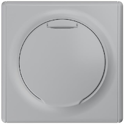 Розетка 1-м СП Florence 16А IP20 с заземл. с крышкой винт. клеммы механизм сер. 1E10501302 OneKeyElectro 2172837